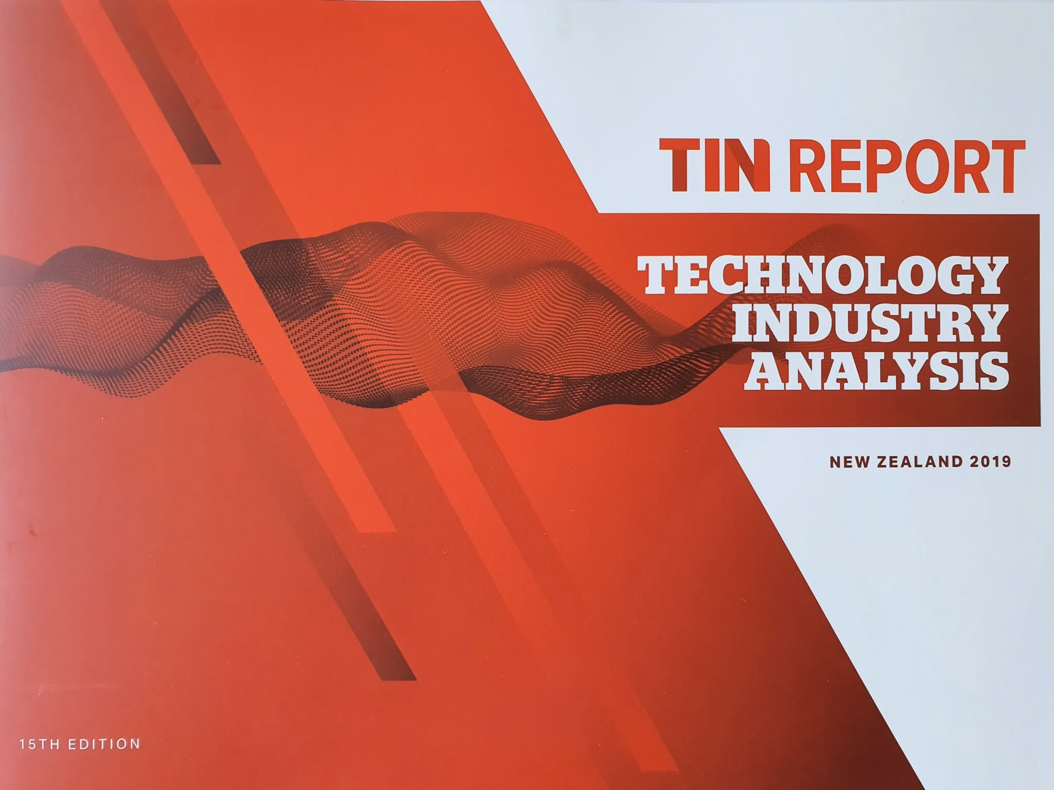 Magnify Consulting - 2019 TIN Report