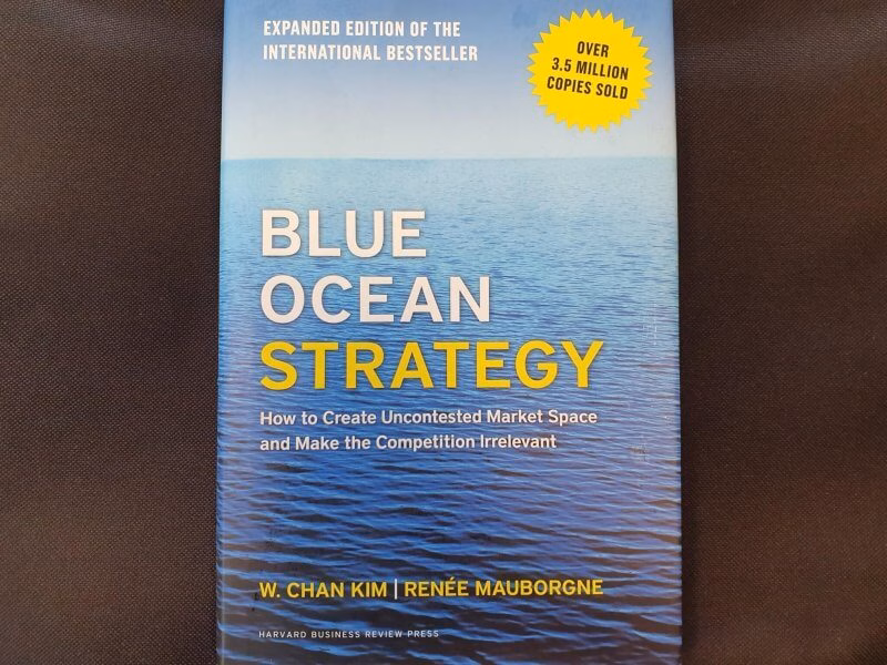 Magnify Consulting - Blue Ocean Strategy creates your uncontested market space